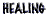 LifeForce Healing Services