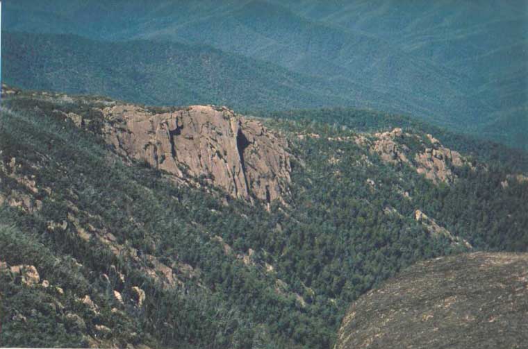 Backwall