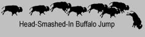 BUFFALO LOGO, Head Smashed In Buffalo Jump