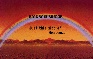 Rainbow Bridge Tribute Page
