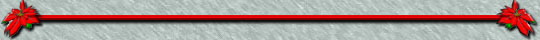 Seperator