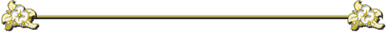 Seperator