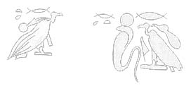 Neith's symbols as Part of the Nebty ('Two Ladies') Motif