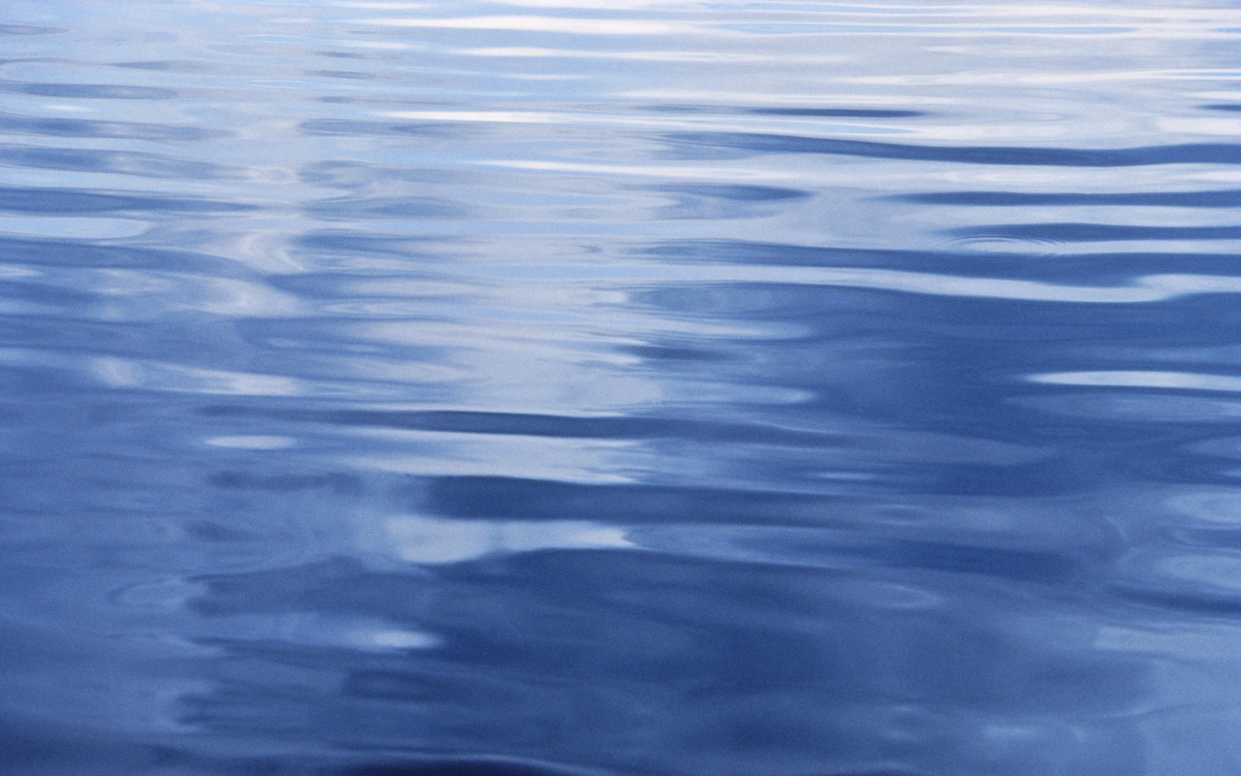 Tranquil Surface.jpg