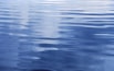 Tranquil Surface.jpg