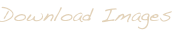 shapeimage_3_link_1