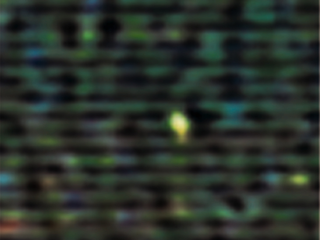 Loading Image