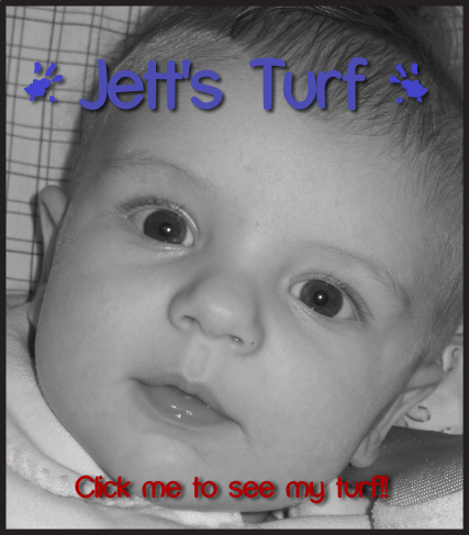 Jett's Turf