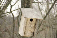 Bird House