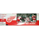 Detriot Red wings