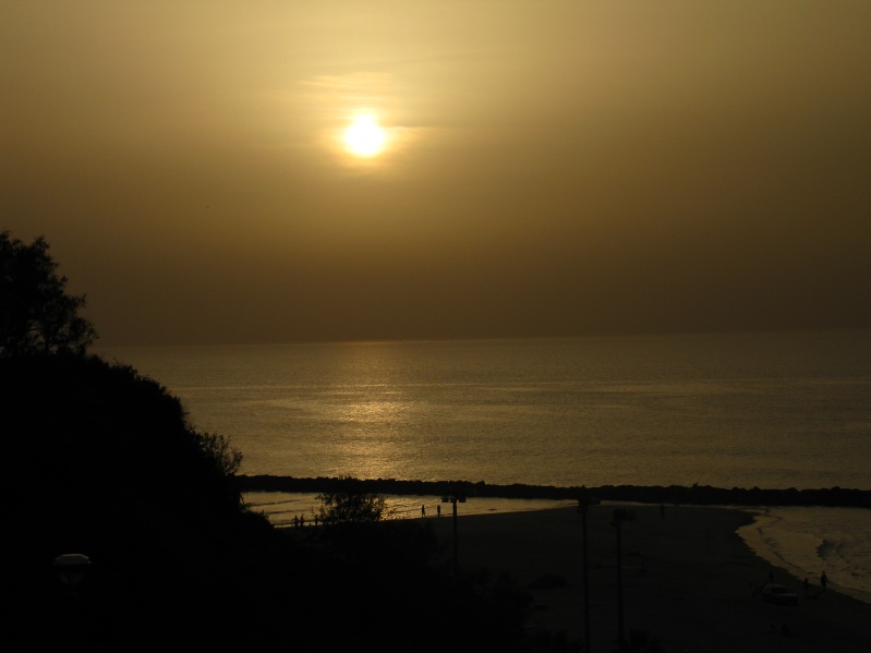 20100213-165634-Natania-IMG_4684.jpg