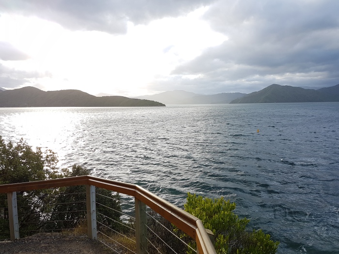 20191219-192828-Whatamango-Bay-Karaka-Point-SJ.jpg
