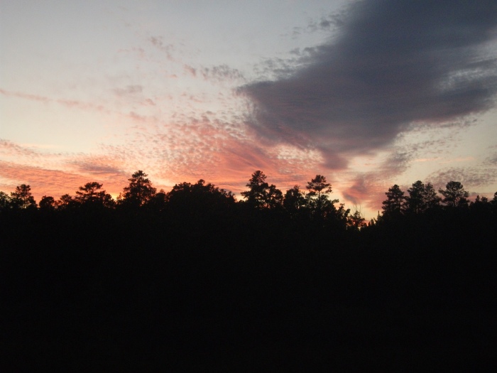 20111017-184600-Richmond-RTA-Patterson-Ave-FJ2377.jpg