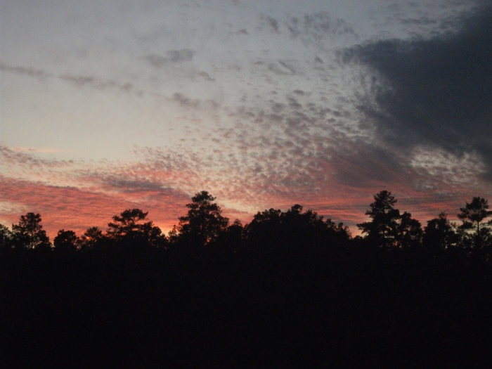 20111017-184654-Richmond-RTA-Patterson-Ave-FJ2382.jpg