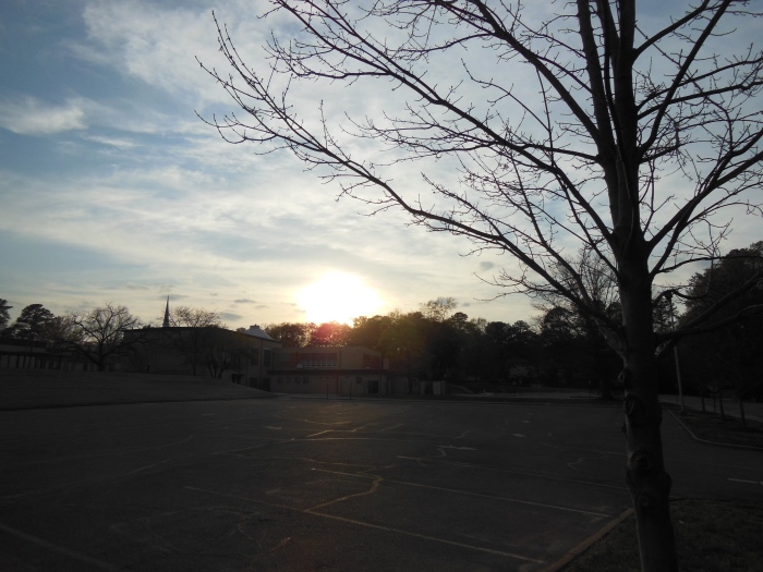 20140413-175338-Tukahoe-NJ5774.JPG