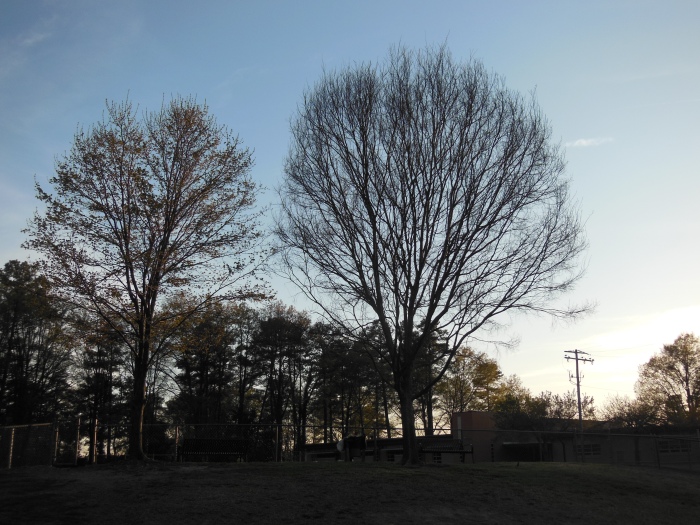 20140420-181418-Tukahoe-NJ6004.JPG