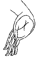 Varada Mudra
