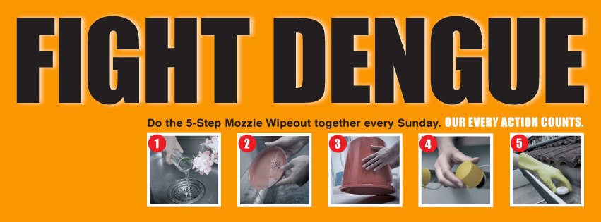 5 Steps Mozzie Wipeout