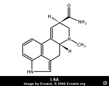 lsa!!!!