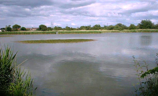 Dunwear Ponds