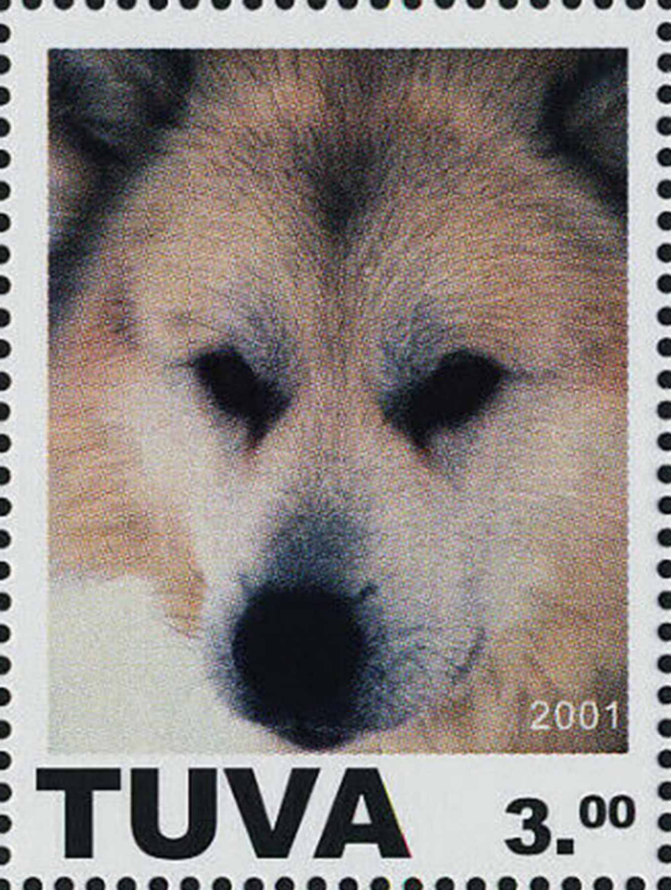 Dogs.

Click this stamp to see the set.