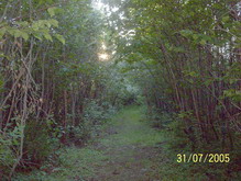 Corduroy Brook Trail