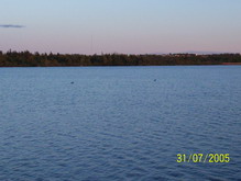 Corduroy Pond