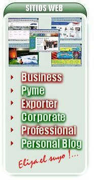 Diseo de Sitios Web para empresas: negocios, business, PYME, exporter, corporate,professional,blog 