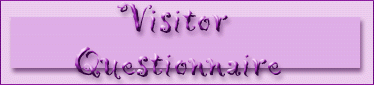 Visitor Questionnaire