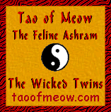 Chinese Philosophy and Horoscopes at Tao of Meow Feline Virtual Ashram