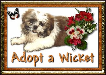 CLICK HERE TO ADOPT A WICKET!
