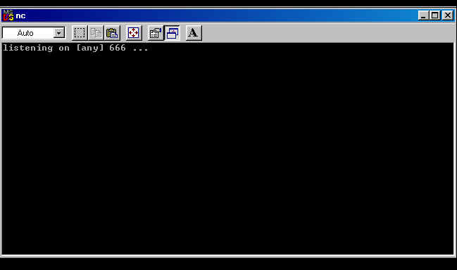 NetCat