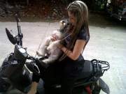 moto001.jpg