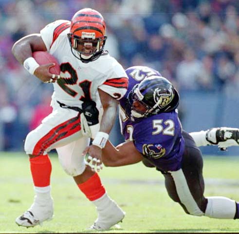 Ravens 1996 Pictures