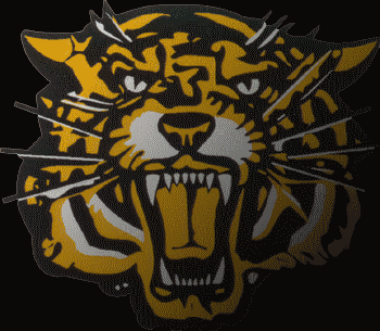 Brian's Hamilton Tiger-Cats Fan Page