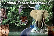 Animal Border Backgrounds Ring