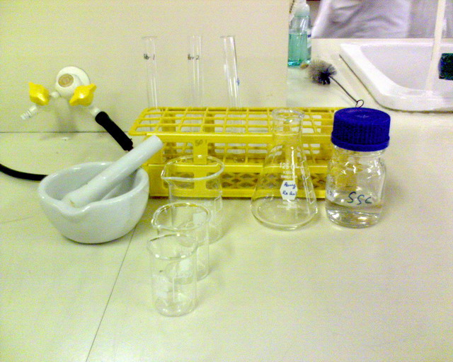 Chemical Apparatus My Tutor