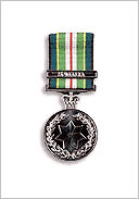 active_service_medal_75-.jpg