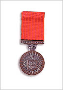 bravery_medal.jpg