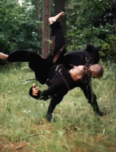 Budo Taijutsu, is one of the few surviving complete martial arts ...