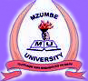 Mzumbe University - DSM Business School Library