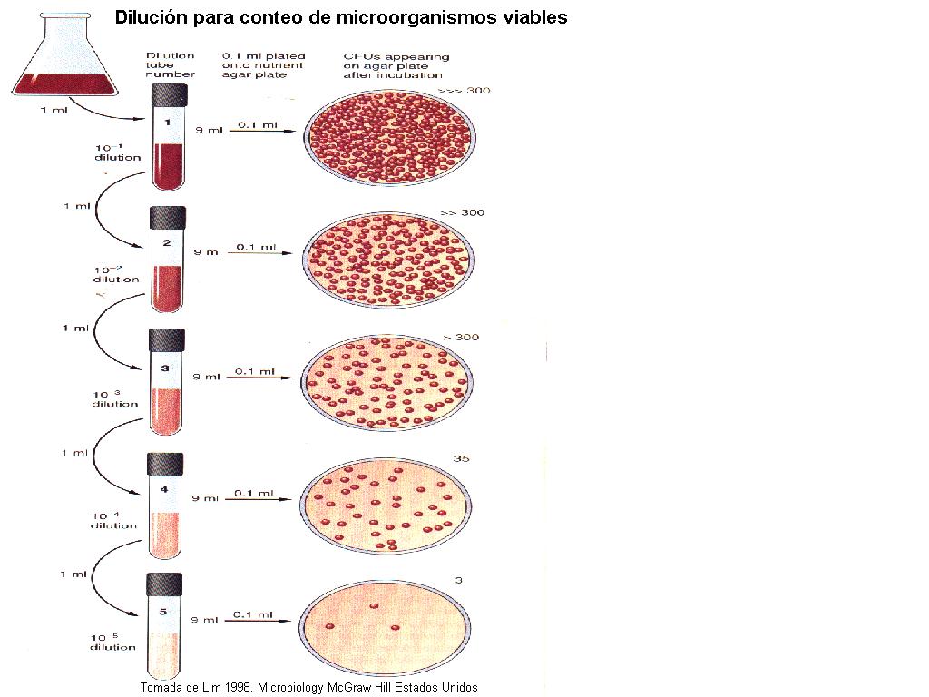 microorganismos en la leche