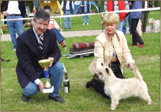 Cloud of Joy Cairn Terriers