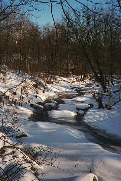 Dave Smith Hiking Journal - Lake Frank and Rock Creek Photos