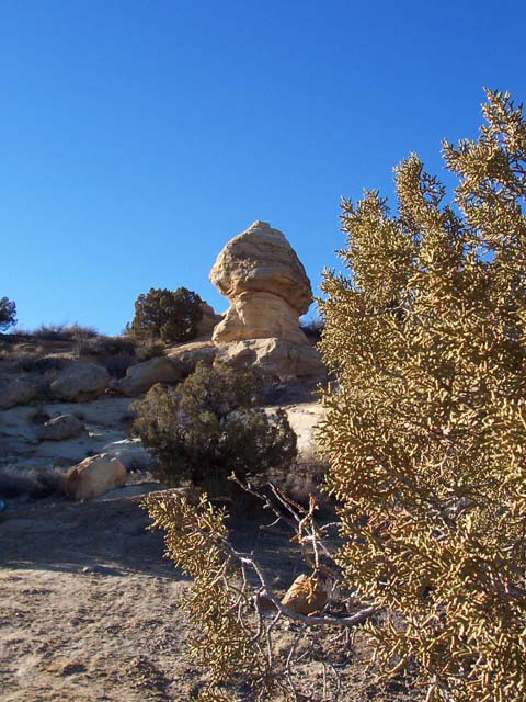 ChokeCherryCanyon