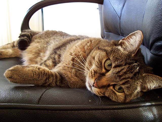 Tigger