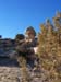 ChokeCherryCanyon
