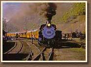 Narrow Gauge Train