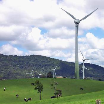 Wind farms in Queensland Wind in the Bush